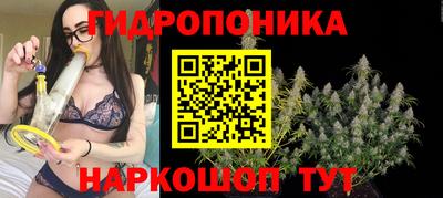 ECSTASY Будённовск