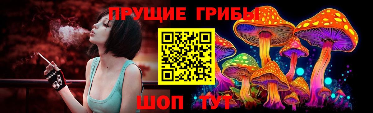 Саров  Псилоцибиновые грибы ЛСД  Псилоцибиновые грибы ЛСД  Вход с VPN 